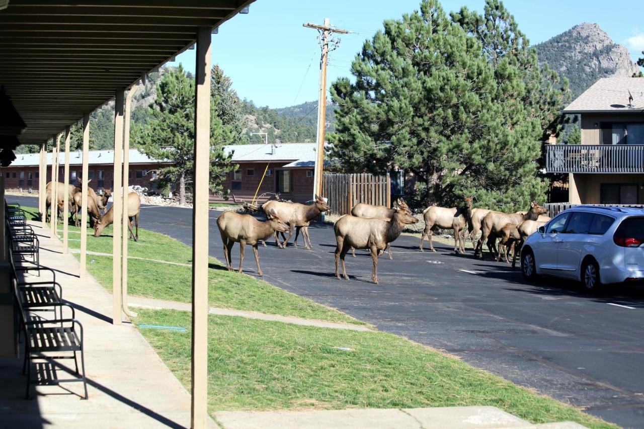 Quality Inn Near Rocky Mountain National Park Estes Park Exterior photo